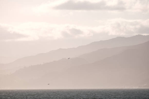 Coastal scene bathed in muted sunlight. The ocean foreground is calm, stretching towards distant mountains that layer into the haze. Above, scattered clouds are illuminated by the light, creating a tranquil and dreamy atmosphere. A few seabirds can be seen gliding over the water, adding a sense of life and movement to the stillness of the landscape.