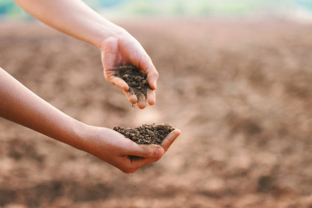istock Two hands holding dirt in a field 2150826244