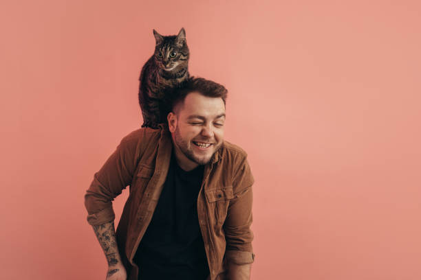 istock Man laughing while his striped cat sitting at his shoulder 2150828356
