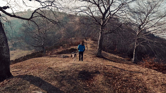 Man running and walking with his dog on mountains