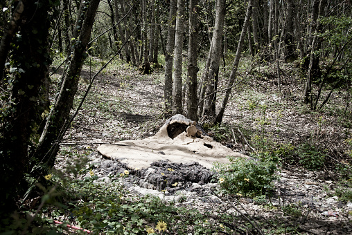 abandoned mattress in the woods