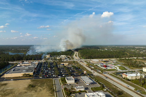 Wildfire burning severely during dry winter season in North Port city, Florida. Thick smoke rising up over suburb homes.