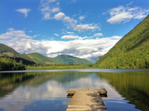 deer lake sasquatch provincial park