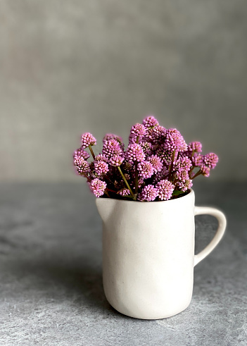 Tiny pink flowers in a small white pitcher.