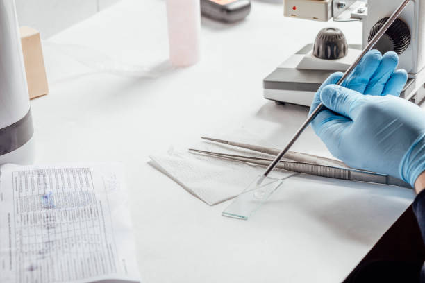 istock laboratory technician engaged in setting up experiment, indicative of ongoing research and continuous learning that characterizes scientific field 2150836972