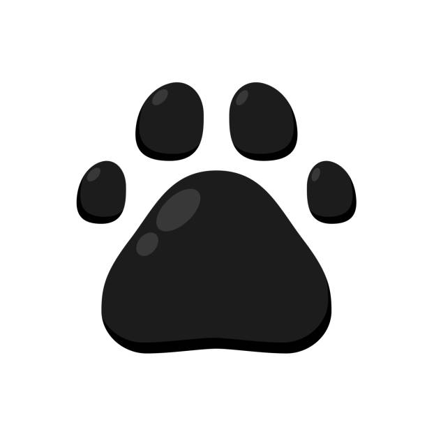 istock Dog Footprint logo. Footprint graphic. Pet outline. 2150837166