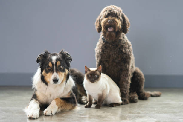 istock A Trio of Friends 2150840068