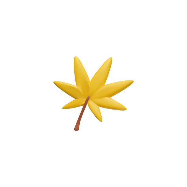 Vibrant yellow autumn leaf 3D icon vector illustration A vibrant yellow autumn leaf 3D icon, artistically crafted with attention to the veins and stem, illustrated as a vector for fall season graphics and designs tree shedding stock illustrations