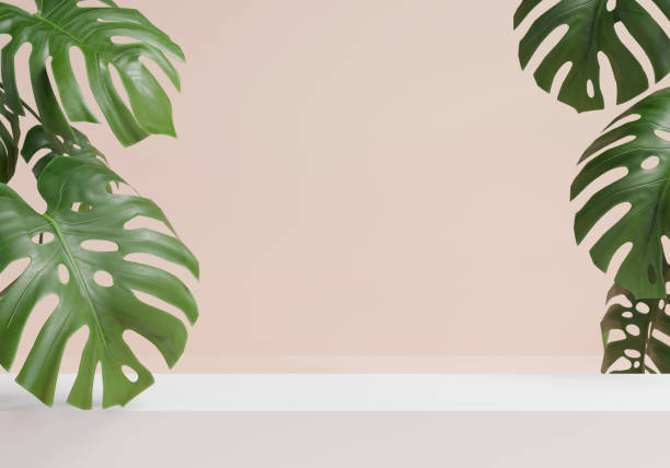 istock White podium decorate with monstera leaf for present a product ,3d model 2150842458