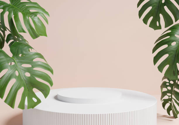 istock White podium decorate with monstera leaf for present a product ,3d model 2150842459