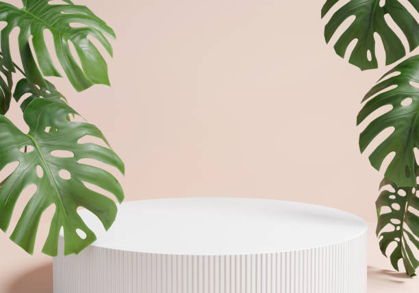istock White podium decorate with monstera leaf for present a product ,3d model 2150842460