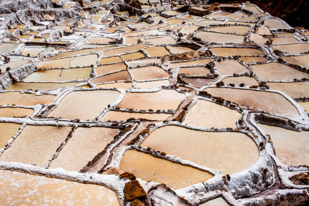detail of the mountain salt pans with the white of the salt and the brown of the water which is turning into salt with evaporation in Peru in South America
