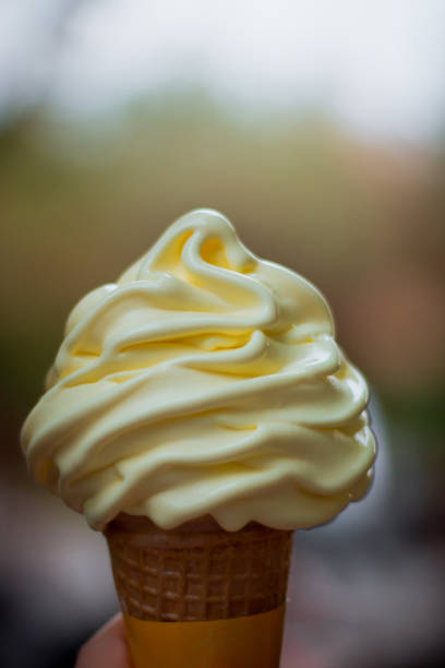 delicious cold ice cream in hot weather