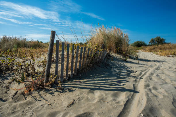 istock 2023 9 30 Lido autumn beach 28 2150850746