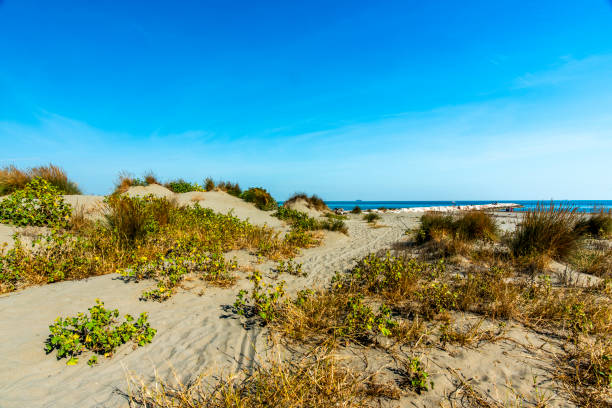 istock 2023 9 30 Lido autumn beach 36 2150850772