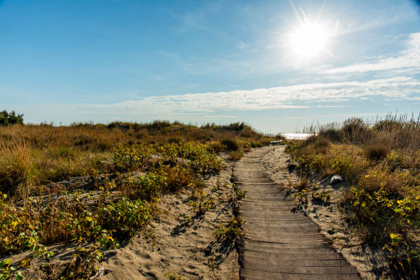 istock 2023 9 30 Lido walkway on the beach 5 2150851869