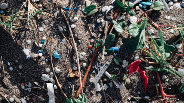 istock A high-angle view of sand and vegetation intermixed with microplastics. The pressing problem is the role microplastics play in heating up our planet. 2150852447