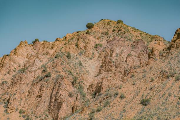 istock beautiful mountains and animals in summer time 2150855278