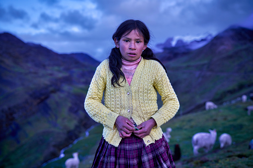 Peruvian shepherd girl of the Quechua ethnic group in the Peruvian Andes surrounded by alpacas