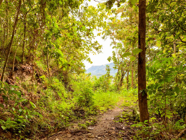Free Stock Photo of Breathtaking mountain view with pathway | Download ...