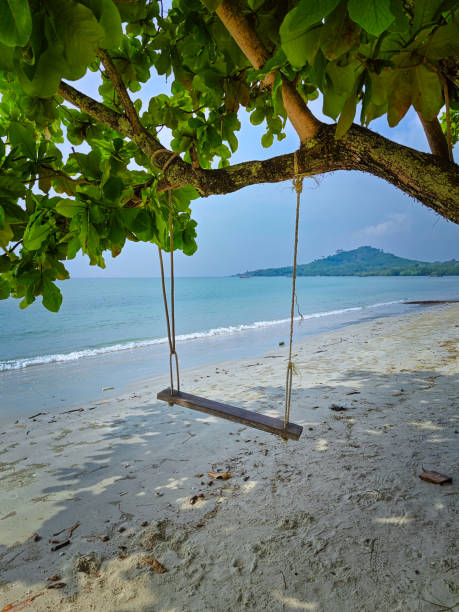 beach on koh mook island with a swing
