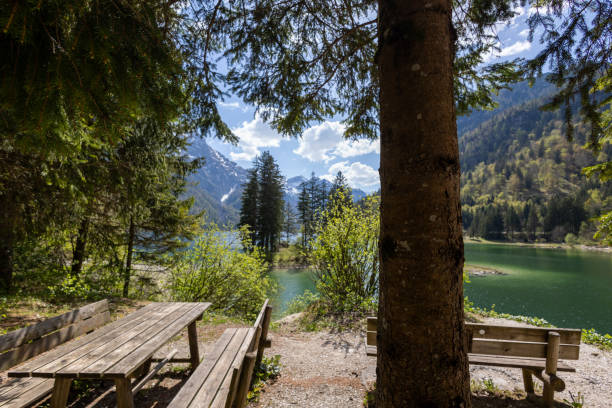 Picnic table below a tree along an alpine lake on a sunny day
