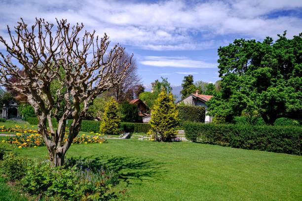 istock View of the Stresa botanical gardens in springtime 2150862923