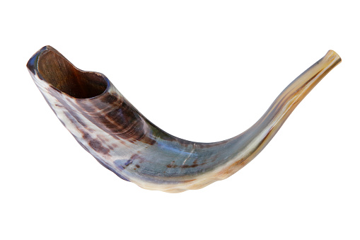 Shofar ram horn, used for Jewish religious purposes.