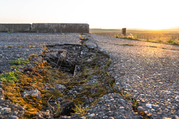 Cracked asphalt, grass growing through cracked asphalt