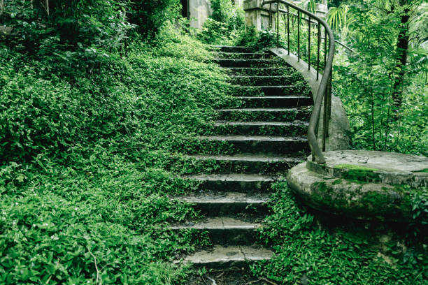 A staircase in a lush green forest. The steps are covered in moss and the railing is rusted. The scene is peaceful and serene, with the natural surroundings providing a sense of calm and tranquility