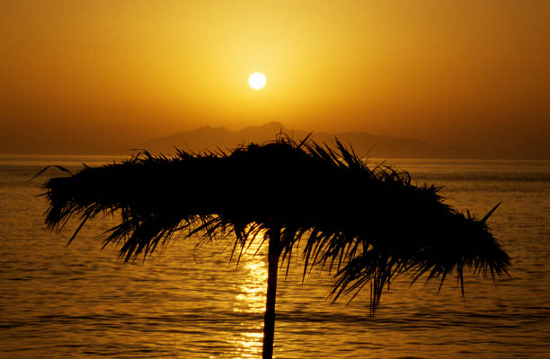 Sunset, Landscape, villages, cats, dogs of Santorin