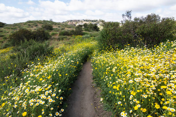 Weir Canyon trail Orange County California