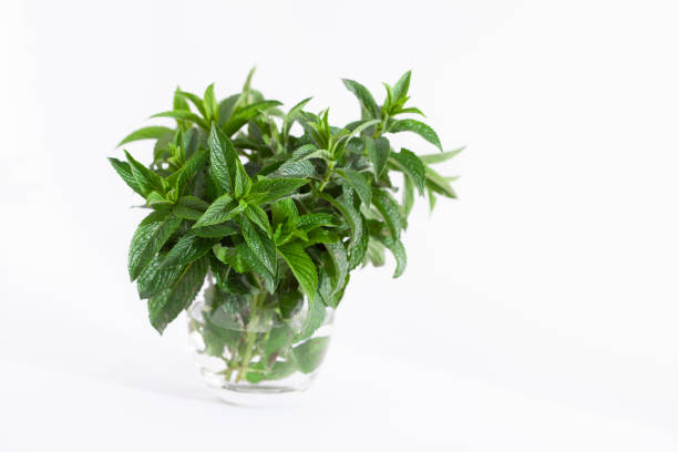 istock Fresh spearmint leaves isolated on the white background 2150870826