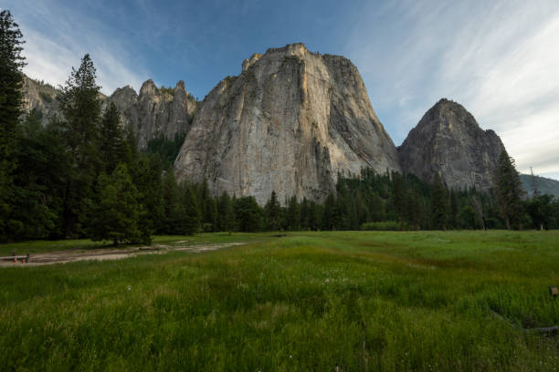 Yosemite Falls From The Valley Floor With Spring Ferns, CA
