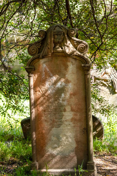 Old tombstone in cemetery, background with copy space, Newtown Camperdown cemetery founded 1848 NSW Australia, full frame vertical composition