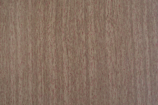 The background is the texture of wood with characteristic veins and lines characteristic of oak, hazel, beech and other tree species. Decorative, valuable, aesthetically pleasing look.