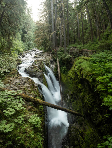 istock Sol Duc River Drops Into The Canyon Through Three Streams At Sol Duc Falls 2150871835