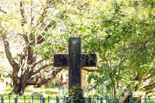 Old cross tombstone in cemetery, background with copy space, Newtown Camperdown cemetery founded 1848 NSW Australia, full frame horizontal composition