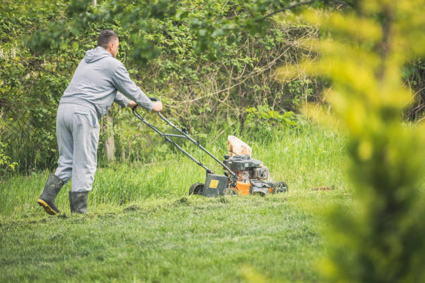 istock Man Mowing Grass With Lawnmower 2150872031