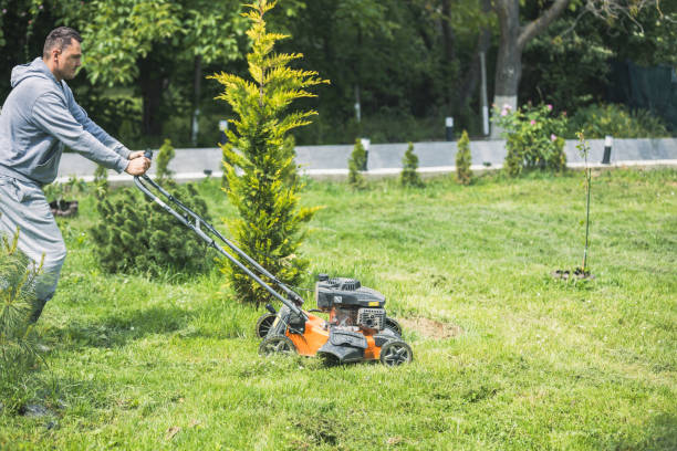 istock Man Mowing Grass With Lawnmower 2150872056