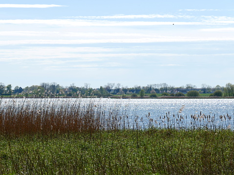Sparkling water, idyllic reed banks, and a bird paradise. Pure nature and relaxation