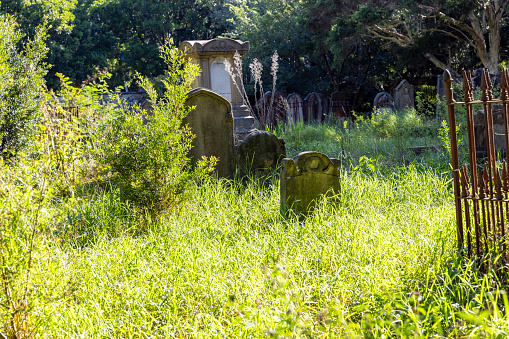 Old tombstones in cemetery, background with copy space, Newtown Camperdown cemetery founded 1848 NSW Australia, full frame horizontal composition