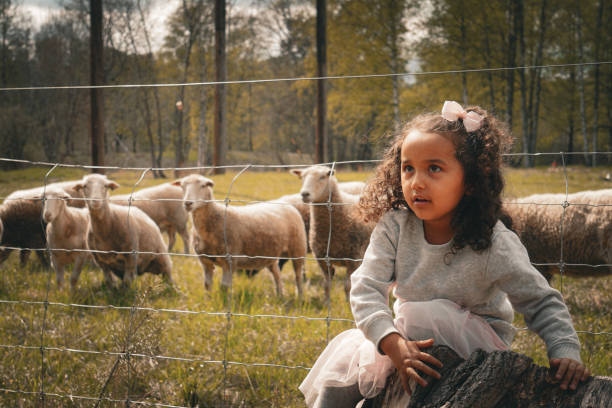 istock Girl looking away while crouching by sheep on field 2150876449