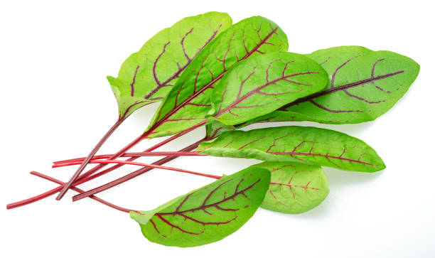 istock Fresh green  beetroot leaves isolated on white background. 2150877395