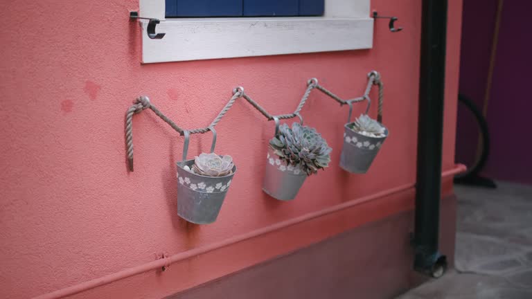 Rustic succulents in hanging pots on Burano wall