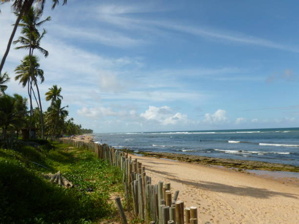 istock Sandy beach and palm trees in Brazil 2150881543