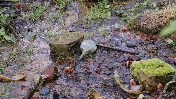 istock Forest Creek Water Stream Polluted with Glass and Plastic Bottles Garbage Trash 2150881670