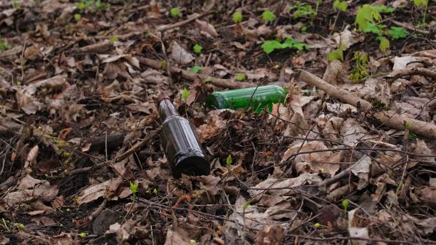 istock Glass Bottle Garbage Dropped on Ground Polluting Forest Litter 2150881684