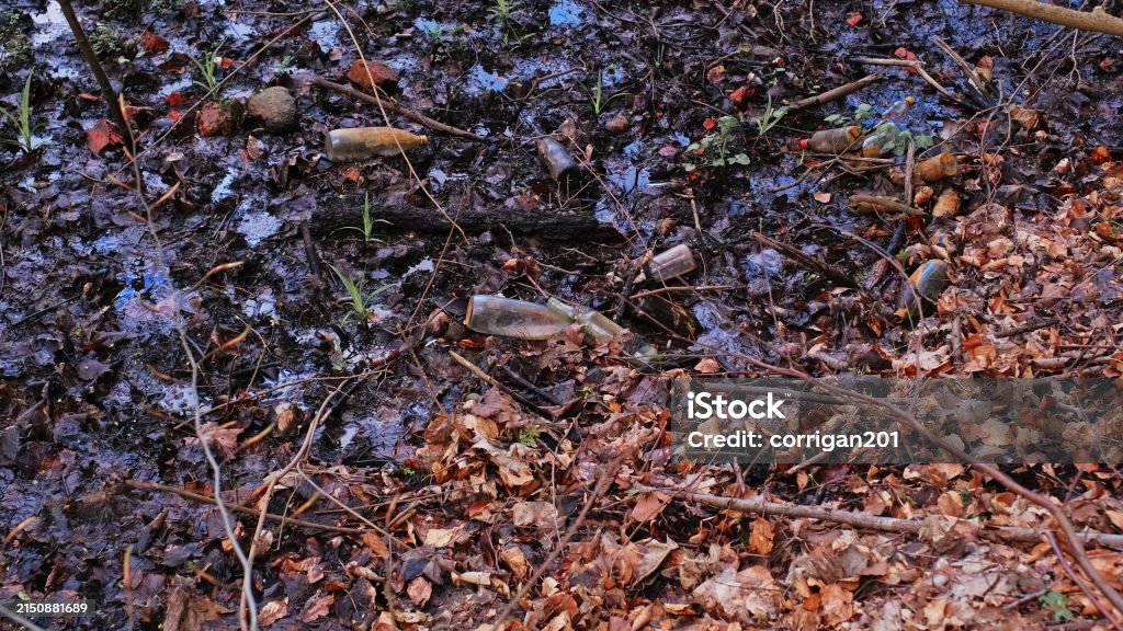 Polluted Bogs Forest Swamp Bog Morass Polluted With Glass And Plastic Bottles Garbage ...