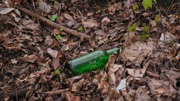 istock Glass Bottle Garbage Dropped on Ground Polluting Forest Litter 2150881694
